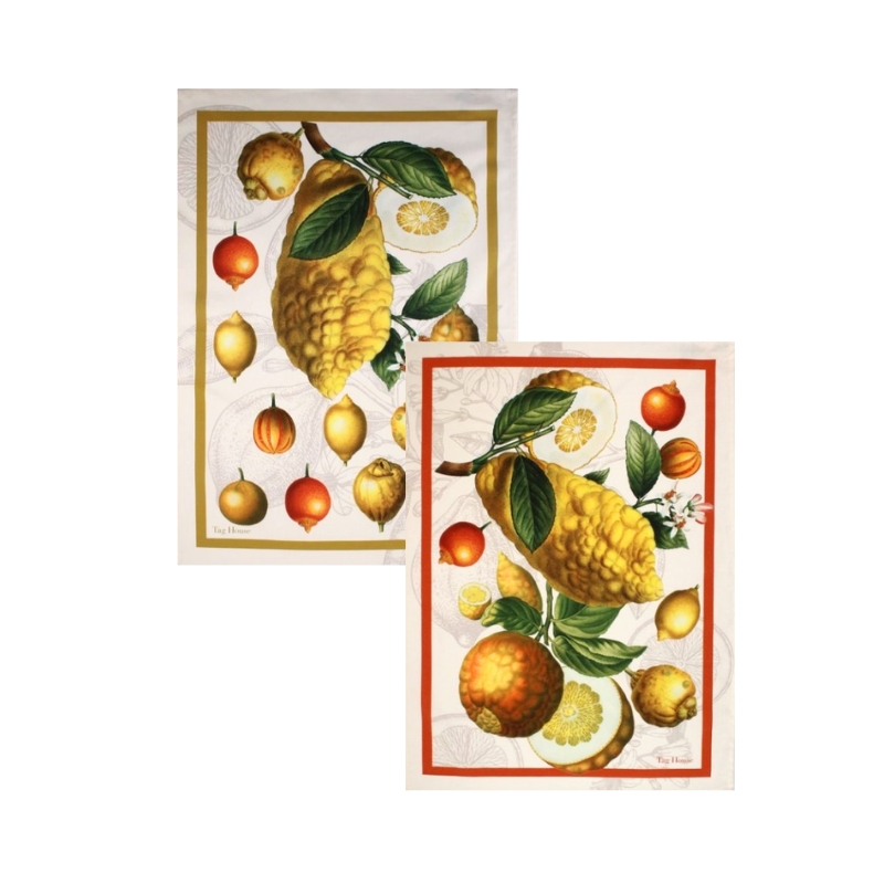 tag house-cedro-strof